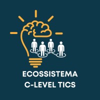 Ecossistema C-Level TICS